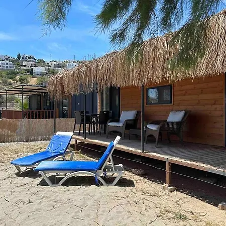 Apartment Tiny House By The Sea In Camel Bodrum