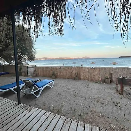 Tiny House By The Sea In Camel Apartment